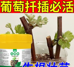 家庭养花用生根粉