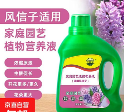 家庭养花用生根粉