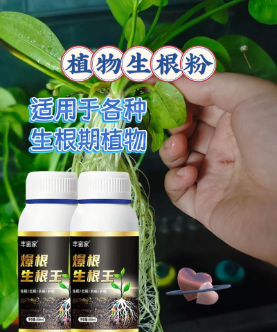 家庭养花用生根粉