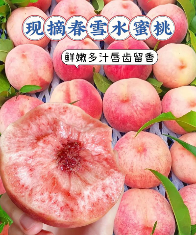 春雪是什么颜色的桃