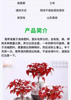 南天竹用什么肥