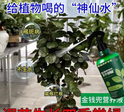 家庭养花用生根粉