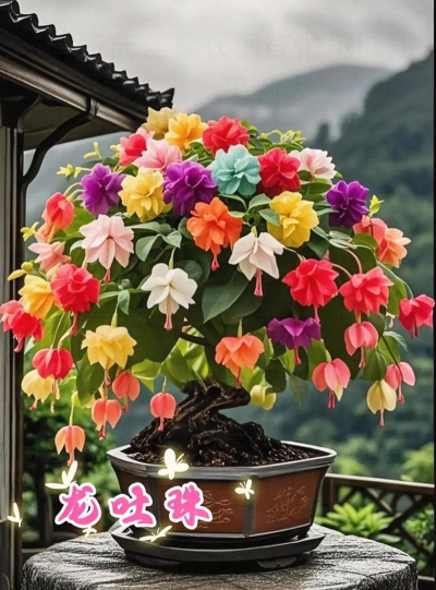 家庭养花用生根粉