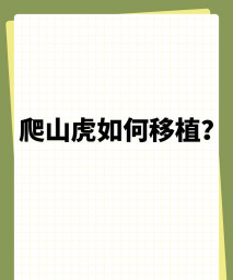 家庭养花用生根粉