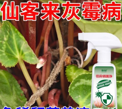 家庭养花用生根粉