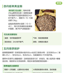 嘉宝果如何施肥