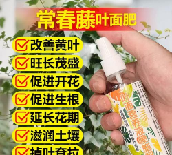 家庭养花用生根粉