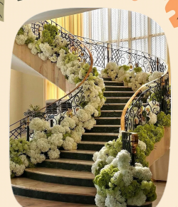 屋里楼梯养花 屋里楼梯养花