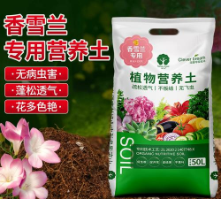 家庭养花用生根粉