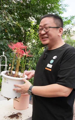 家庭养花用生根粉