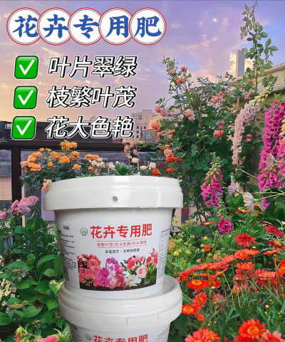 长春花用什么花肥