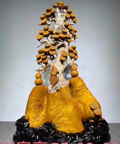 桢楠树有什么价值