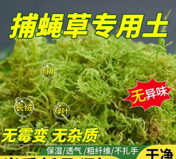 扑蝇草用什么土 扑蝇草用什么土