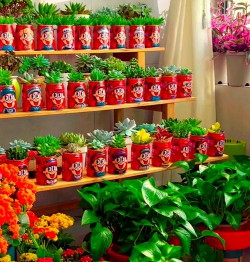 家庭养花用生根粉