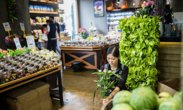 家庭养花用生根粉