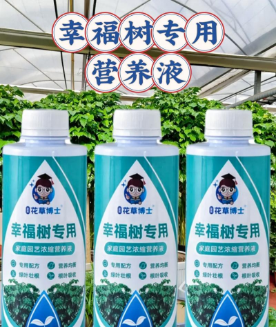 家庭养花用生根粉