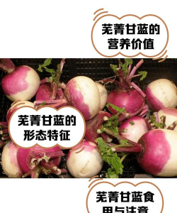 芜菁甘蓝怎么切