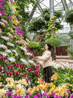 家庭养花用生根粉