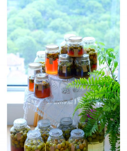 家庭养花用生根粉