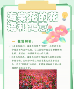 海棠的花语是什么象征