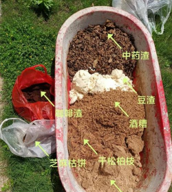 家庭养花用生根粉