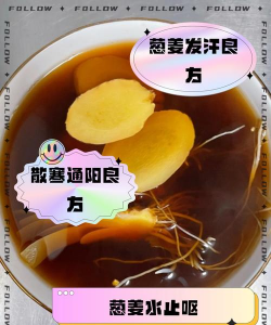 大葱浸根用什么药