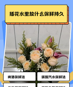 家庭养花用生根粉