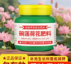 家庭养花用生根粉