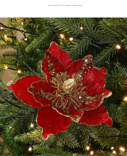 外国圣诞的花叫什么