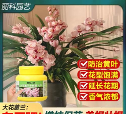 家庭养花用生根粉