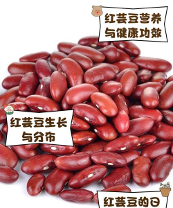 红花芸豆长什么样子