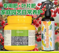 家庭养花用生根粉