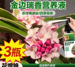 家庭养花用生根粉