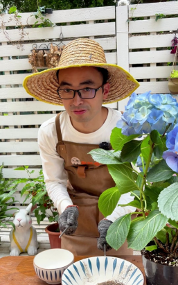 家庭养花用生根粉