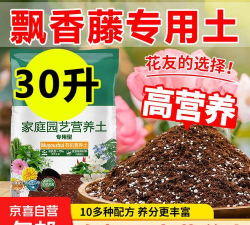 家庭养花用生根粉