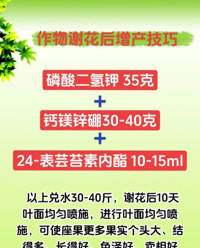 家庭养花用生根粉