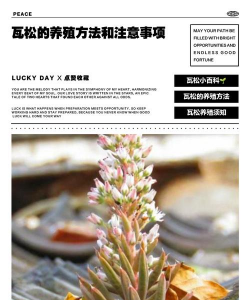 家庭养花用生根粉