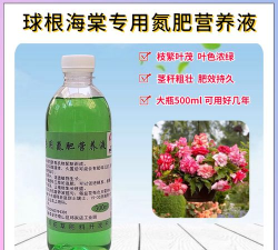 家庭养花用生根粉