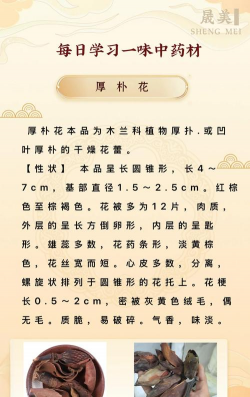 厚朴不开花什么原因