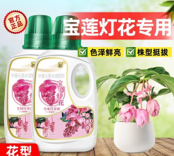 家庭养花用生根粉