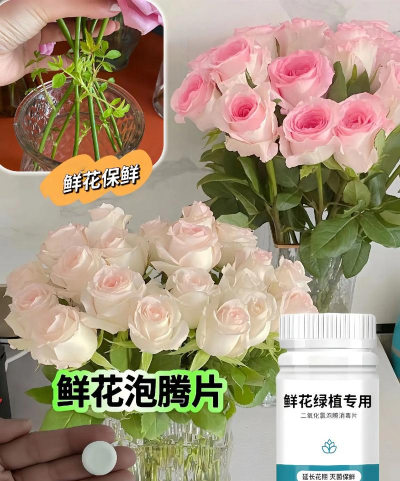 家庭养花用生根粉