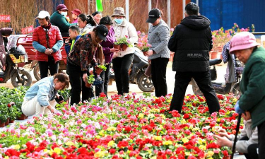 养花的群体 养花的群体