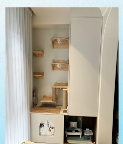 装修喵养花 装修喵养花