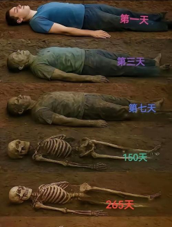 石生怎么死的