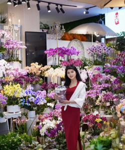 家庭养花用生根粉