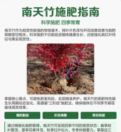 南天竹施什么肥料