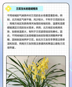 兰科植物常在什么地方