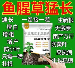 家庭养花用生根粉