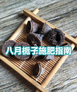 怎么自制栀子酸性花肥