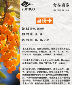 如何除掉沙棘树